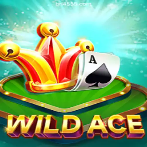 WildAce: Experience the Thrill of Online Slots Brasil #1 on 4555.com Platform
